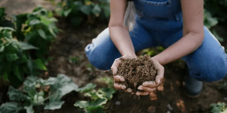 Illustrative image of Organic soil management in Cardiff